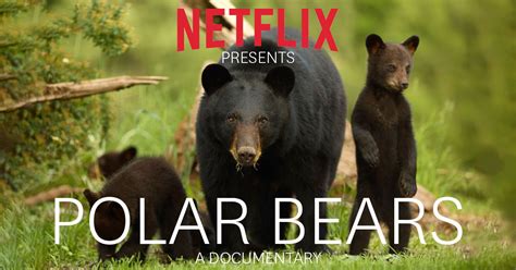 lion netflix|netflix presents polar bears.